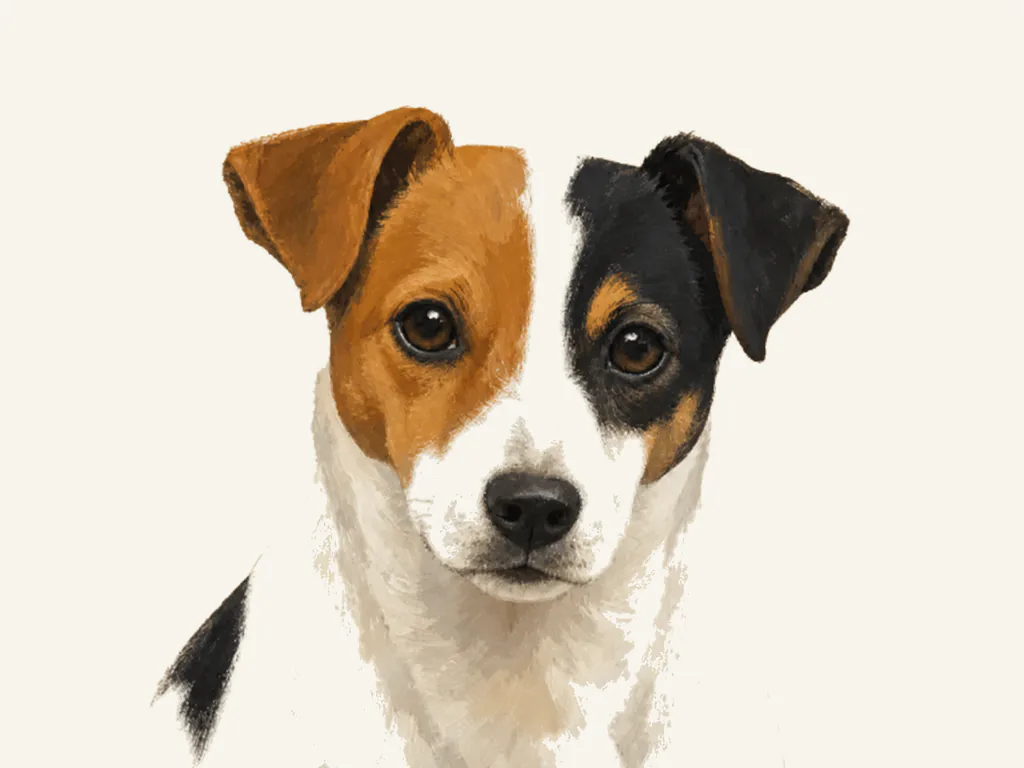 Danish-Swedish Farmdog